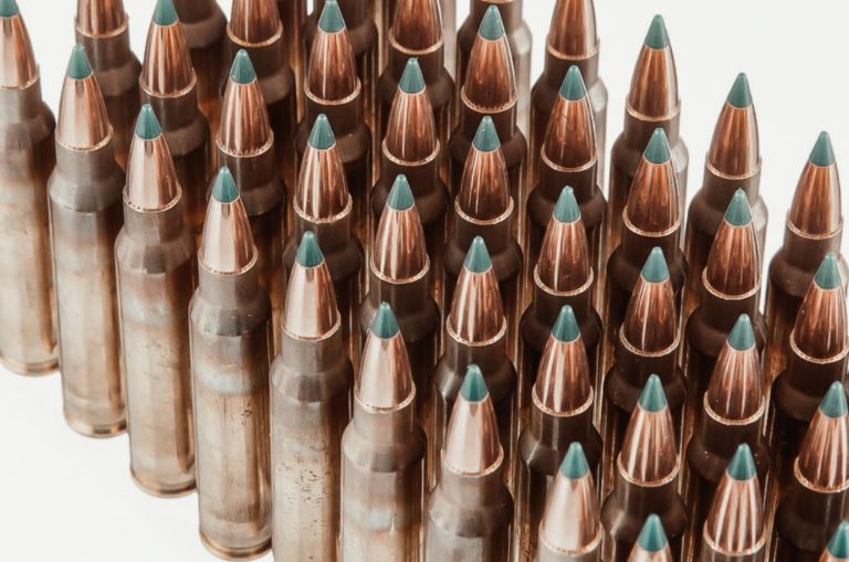 M193 vs M855: Which 5.56 Round Should You Stockpile?