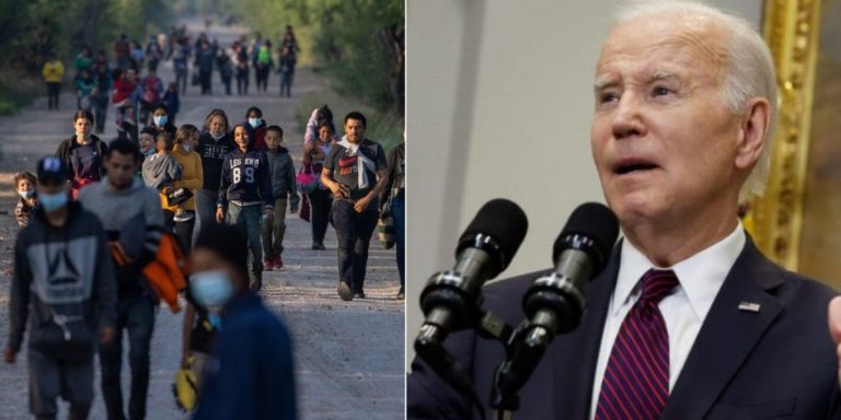 Federal Judge Blames Biden Admin for Causing Border Crisis, Blocks Release of Illegal Aliens Into the US