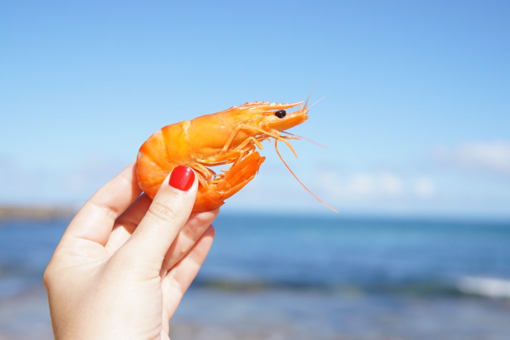 Fringe Science: SSRI Antidepressants Drive Shrimp to Suicide and Potentially Contribute to Mass Shootings