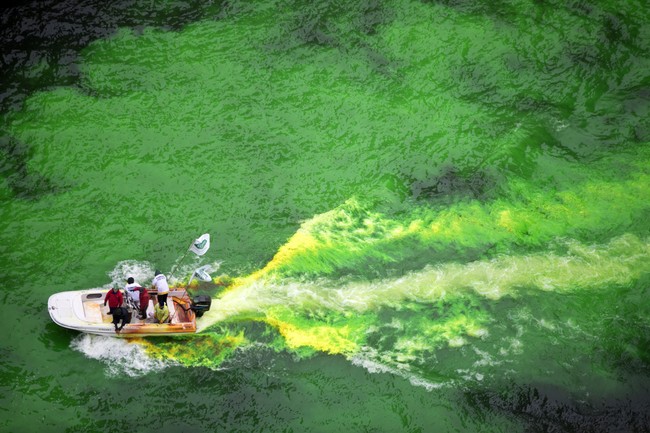 Some Greens Don't Like the Chicago River Being Dyed Green For St. Patrick's Day