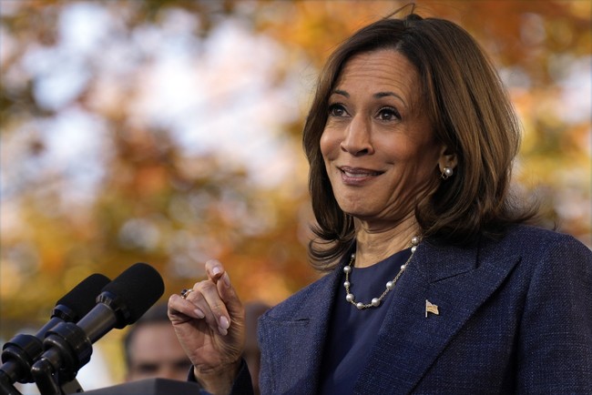 What Sort of Man Votes for Kamala Harris?