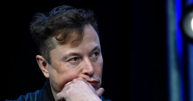 Elon Musk: 'F**k Yourself in the Face' if You Want to End H-1B Visas