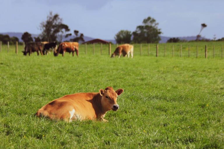 Raw Milk Legend Tapped to Craft Trump’s FDA Policy