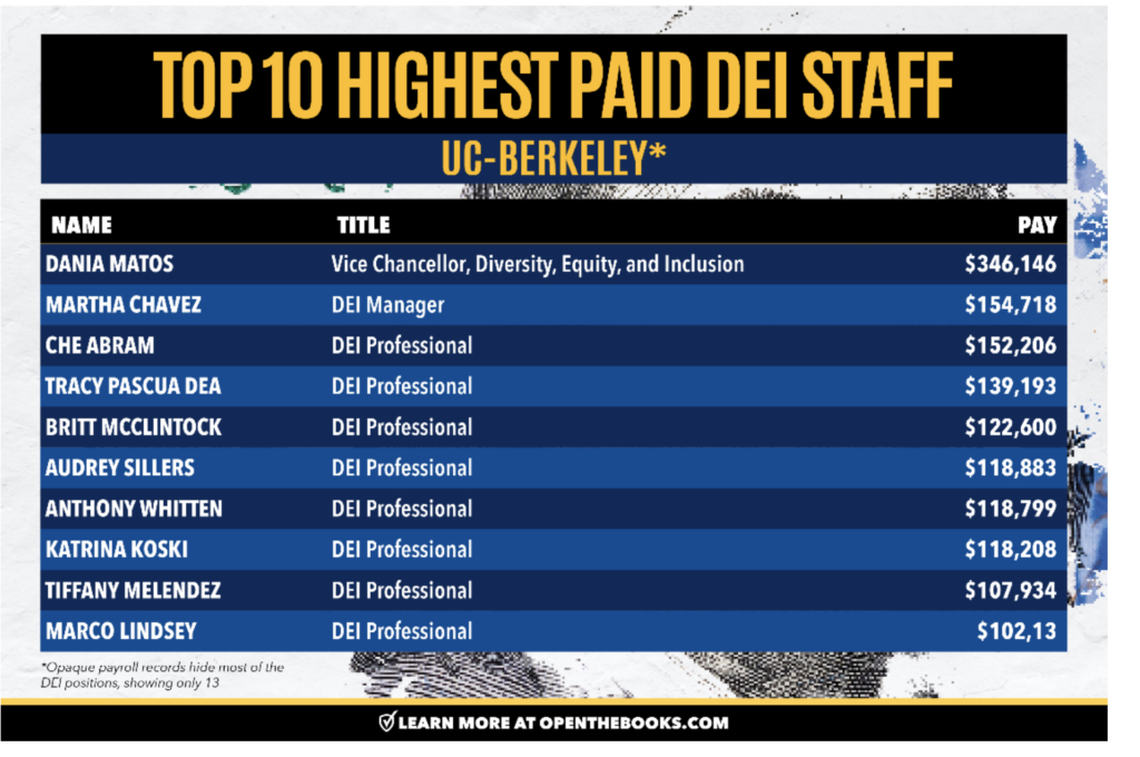 Exclusive: Records Detail Hefty Higher Ed DEI Spending