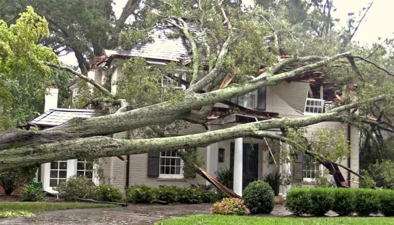 ‘Life-threatening,’ ‘destructive’ windstorm warning issued in Calif.