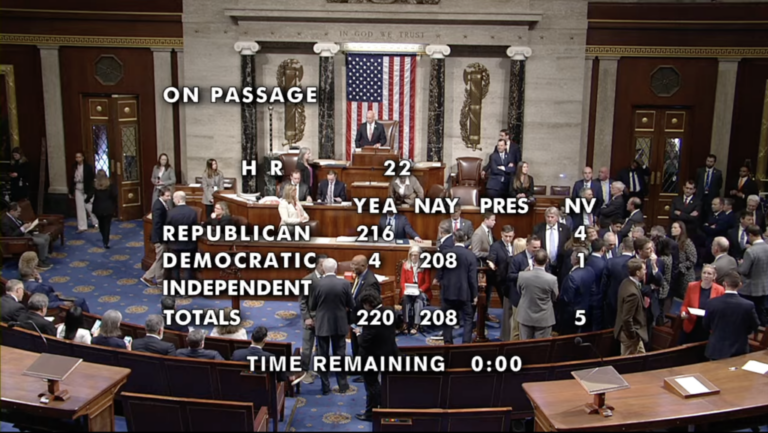 208 Democrats Vote Against SAVE Act