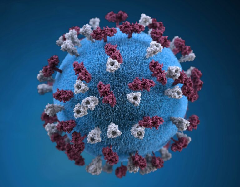 Trouble in MAHA Paradise? RFK and Trump Teams Allegedly at Odds Over Measles Response