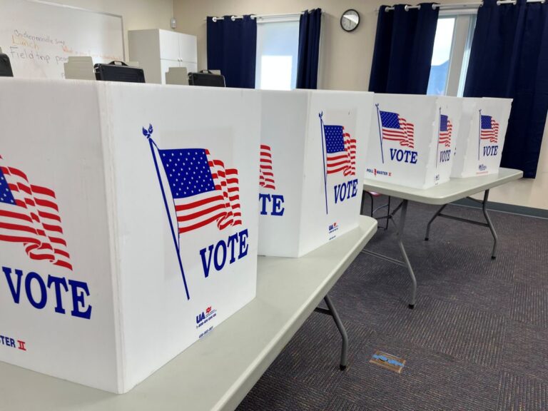 Dems Find Judge To Block More Of Trump's Election Law Order