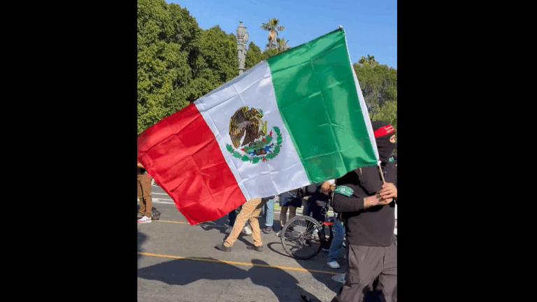 Not Ironing Your Protest Flag Should Be Grounds For Deportation